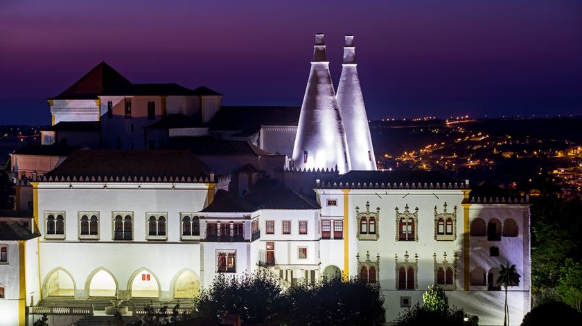 Palácio de Sintra vai estar aberto à noite no Dia Mundial da Árvore