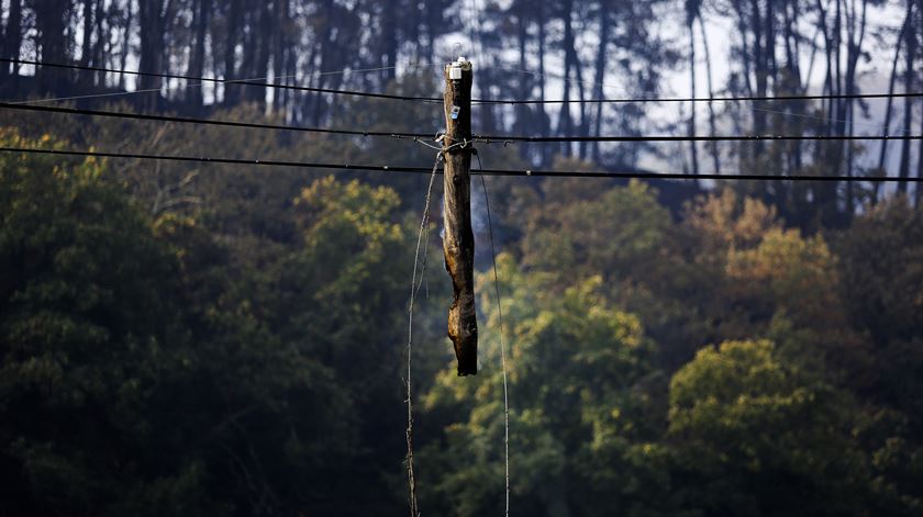 Um poste destruído pelo fogo. Foto: Joana Bourgard/RR