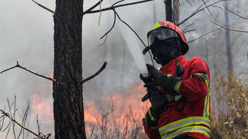 Incêndio na região de Abrantes. Foto: Paulo Cunha/EPA