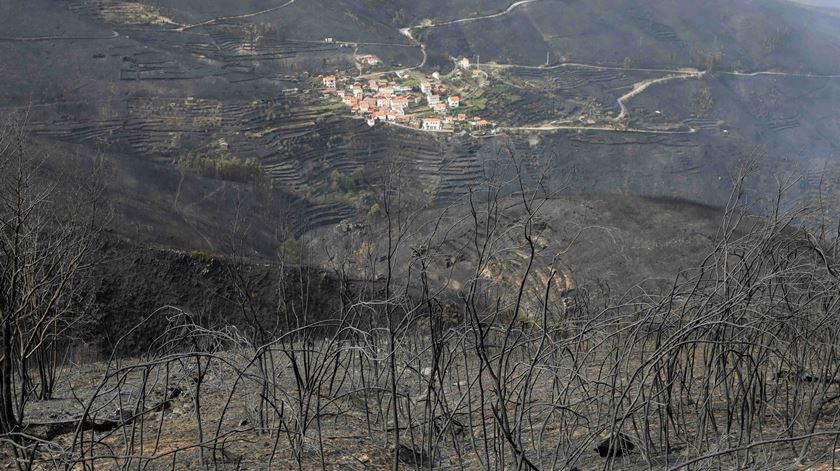 Serra do Açor. umas das zonas protegidas mais atingidas pelas chamas. Foto: Paulo Novais/Lusa