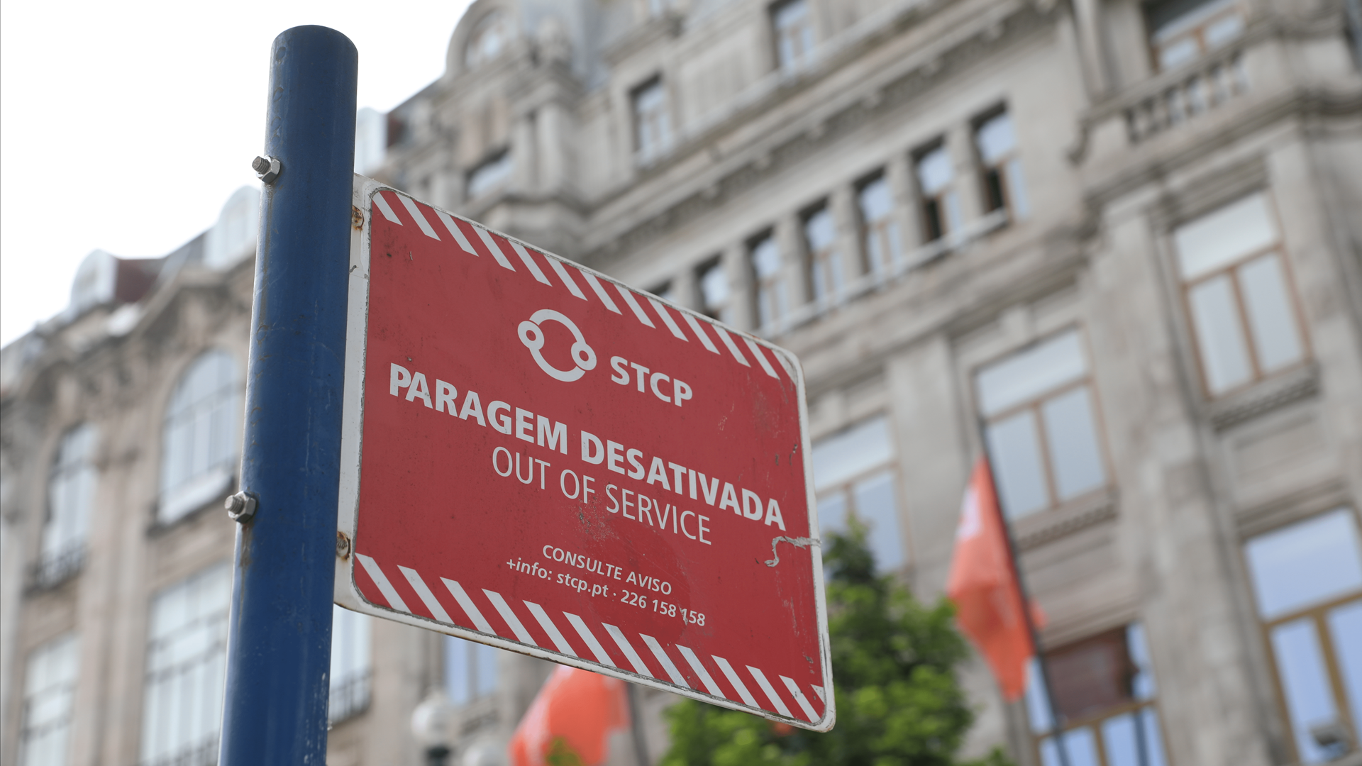 STCP Anula Compra de 50 Autocarros: Impugnação Revela Problemas e Novo Concurso é Lançado!