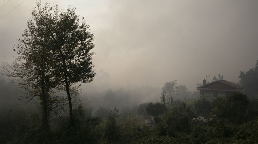 Governo apela aos proprietários para "logo que possível" limparem terrenos