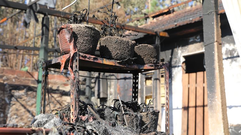 Consequências dos fogos em Oliveira de Azeméis. Foto: Rafael Pinto/RR