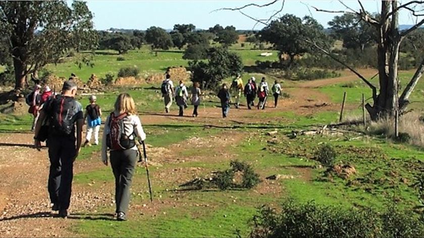 Foto: Turismo do Alentejo