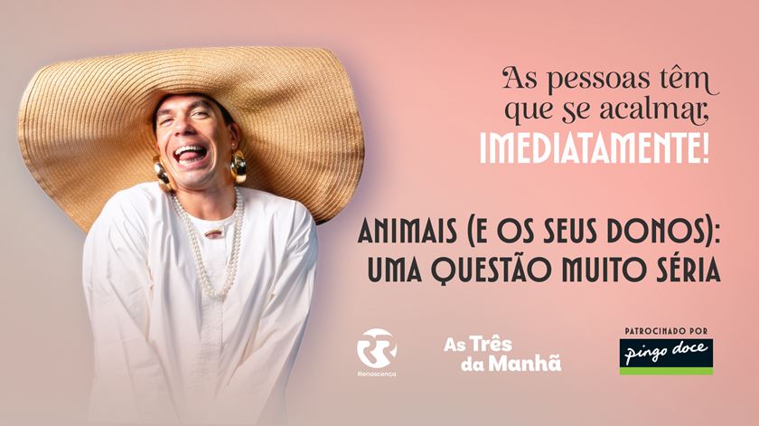 Animais (e os seus donos): Uma Questão Muito Séria - As pessoas têm que se acalmar, imediatamente!