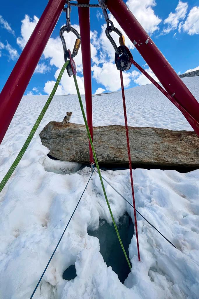 Local onde caiu o homem. Mais acima, é possível ver o pequeno cão, que esteve sempre no mesmo local. Foto: Air Zermatt Local onde caiu o homem. Mais acima, é possível ver o pequeno cão, que esteve sempre no mesmo local. Foto: Air Zermatt