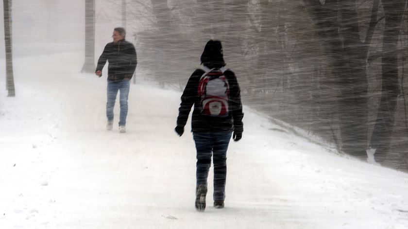 Stralsund, Alemanha. Foto: Jens Koehler/EPA