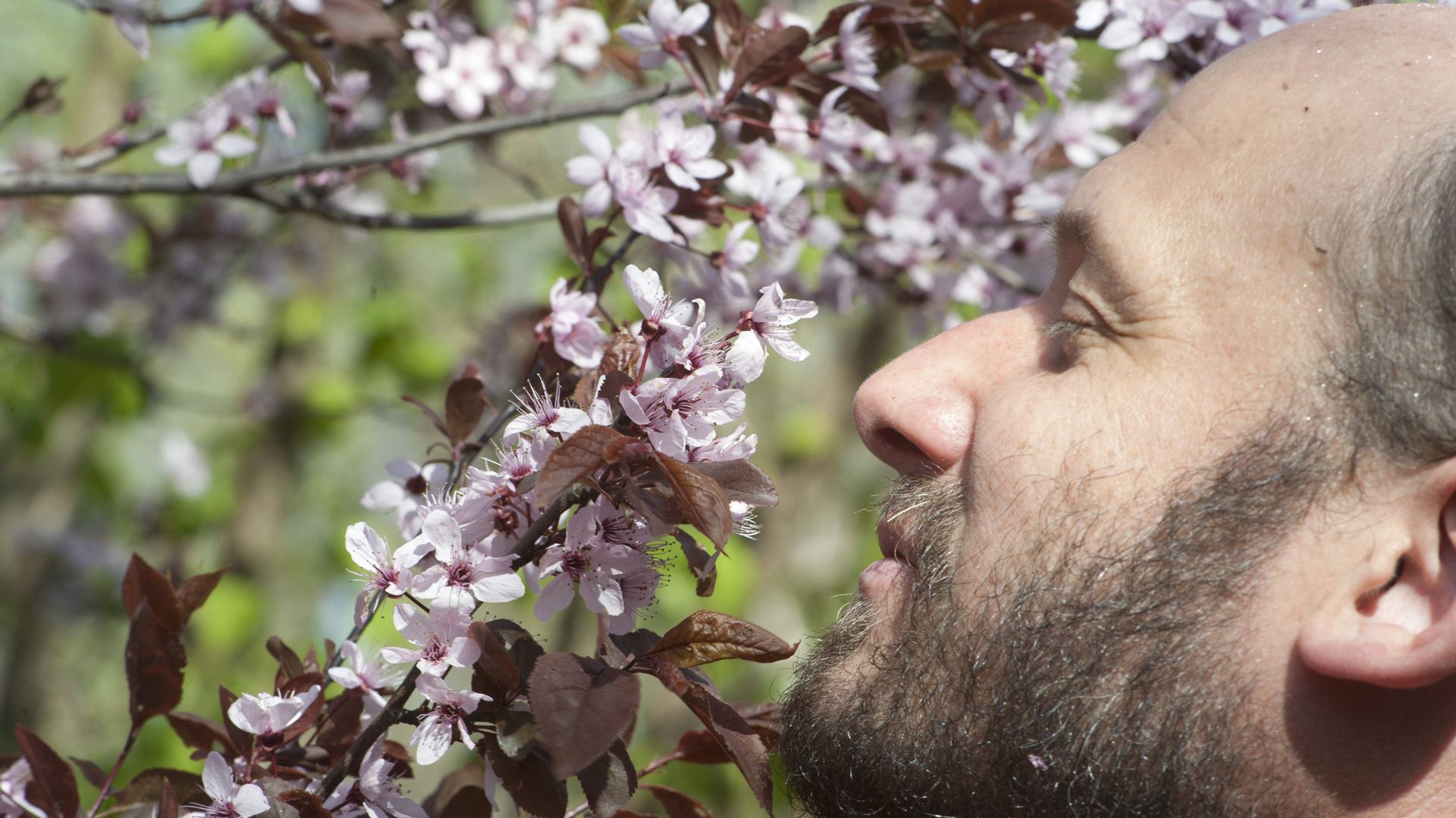 Cientistas criam o primeiro 