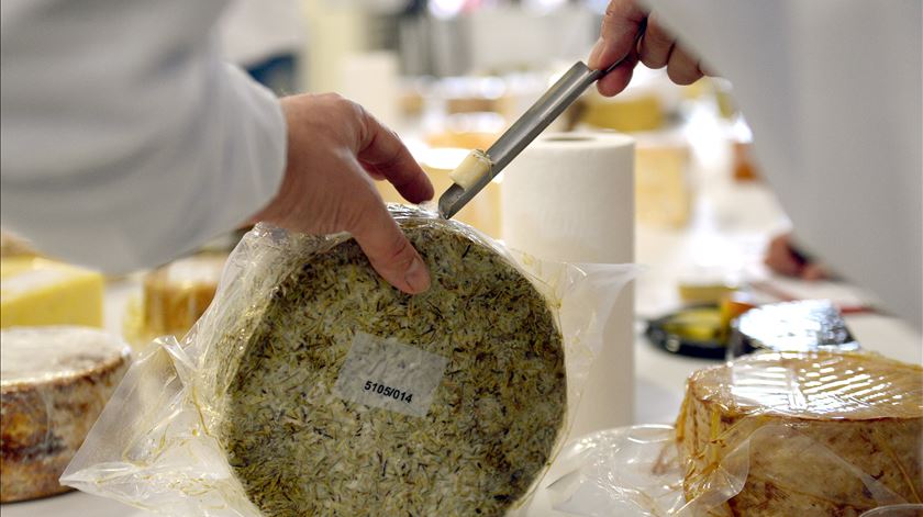 Investigadores ligam consumo de queijo à noite a pesadelos