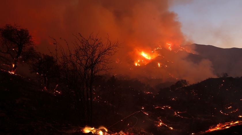 Três jovens suspeitos de fogo posto em Mesão Frio