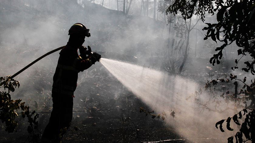 Foto: Paulo Cunha/Lusa