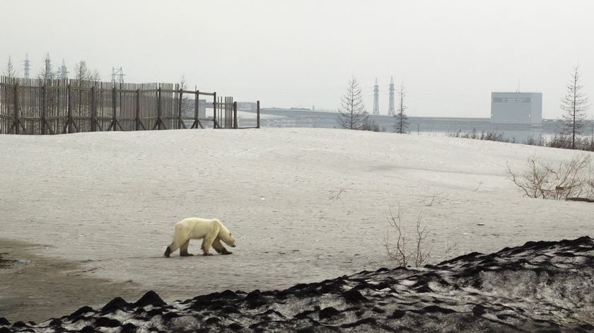 Foto: Vyacheslav Yarinskiy/Reuters