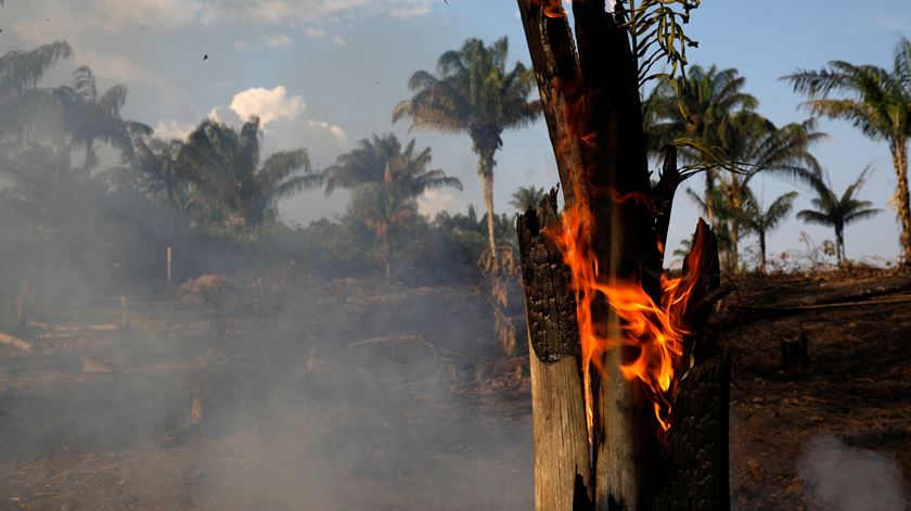 Foto: Bruno Kelly/Reuters