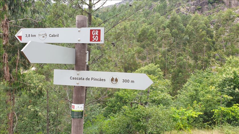 Dois homens resgatados na serra do Gerês em operação que durou quatro horas