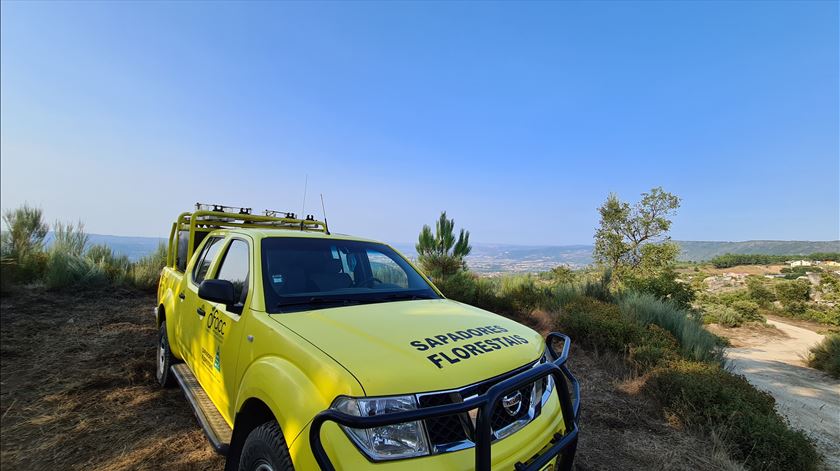Quatro sapadores florestais detidos por suspeitas de violação e coação em Seia