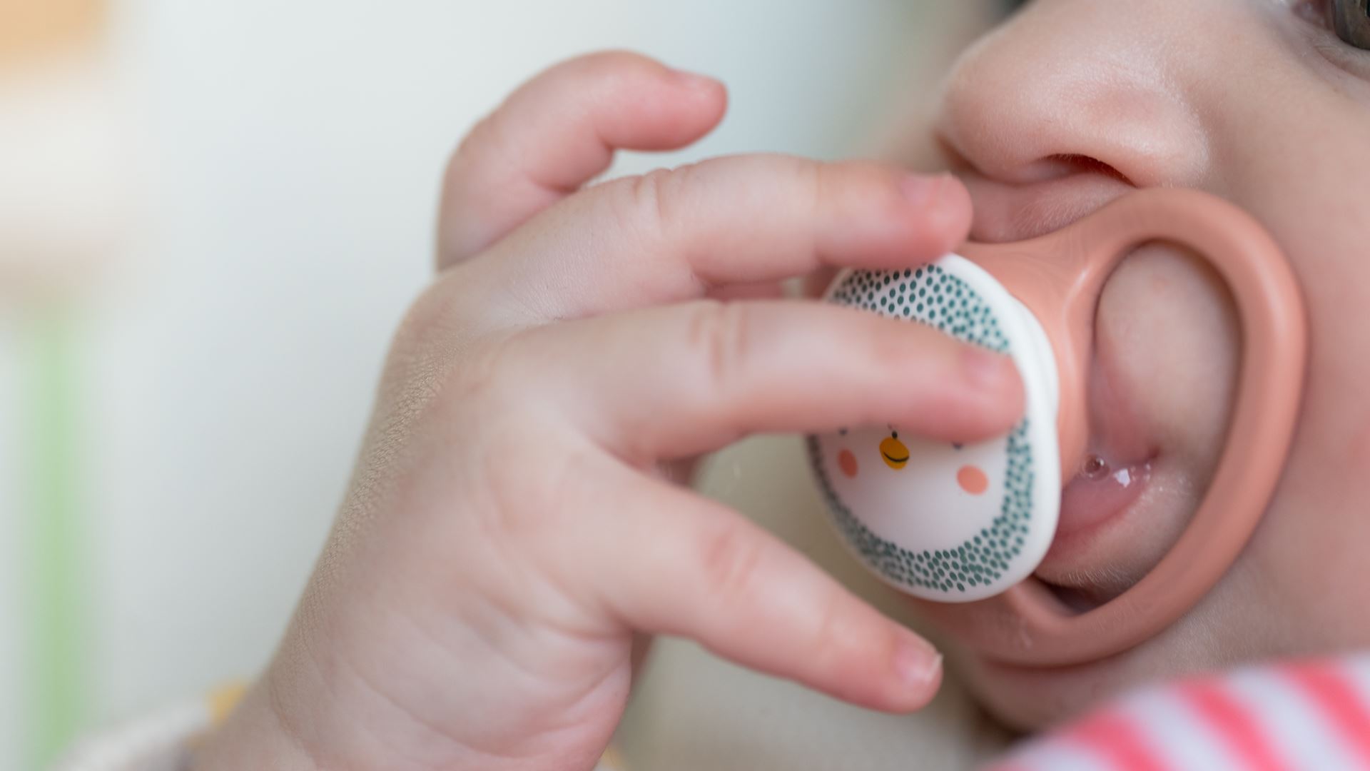 De 1.000 para 2.500 euros: Câmara de Vinhais reforça apoio à natalidade