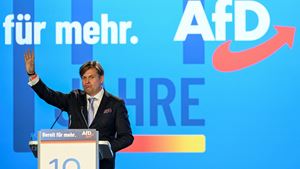 Movimento alemão pede proibição imediata do partido de extrema-direita AfD