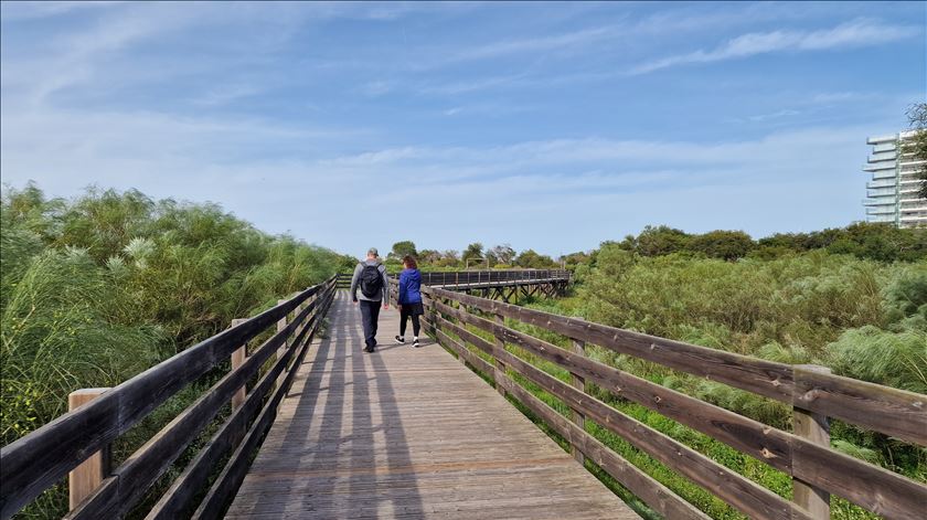 Tempo. Depois das tempestades, sol regressa durante a semana