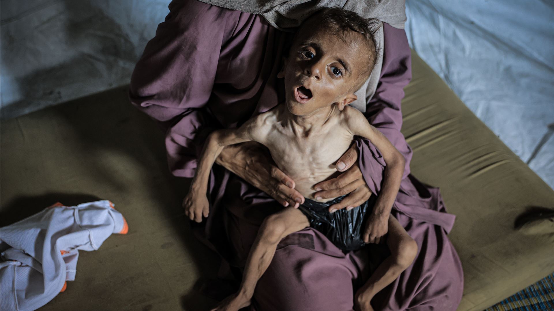 "Fome é ferramenta do exército israelita para destruir a população palestiniana"