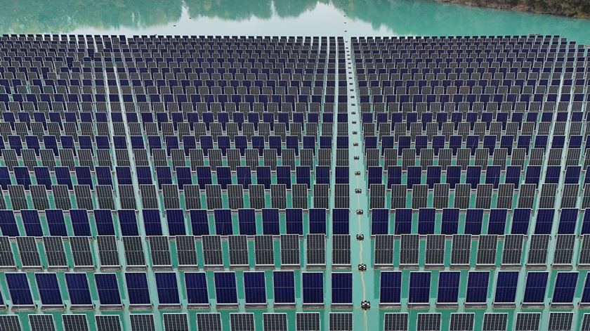 Zero defende chumbo da central fotovoltaica da Beira por ameaçar biodiversidade