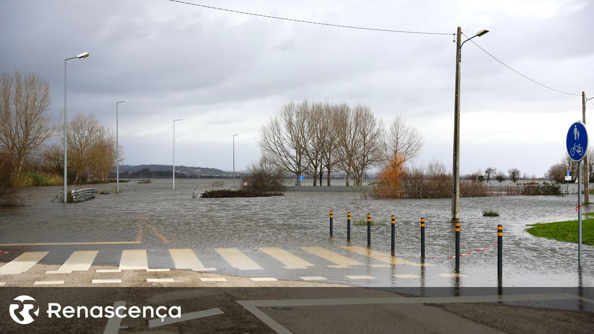 ​Montemor-o-Velho teme “catástrofe mesmo de verdade”
