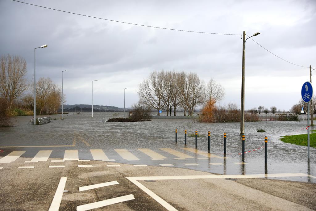 José Veríssimo, presidente da CM Montemor o Velho José Veríssimo, presidente da CM Montemor o Velho