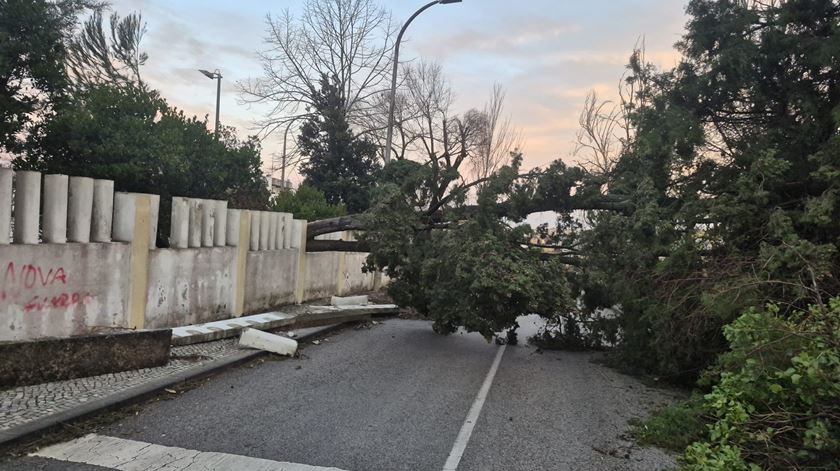 Depressão Kristin deixa rasto de destruição em Leiria. Foto cedida à Renascença por Virgínia Simões