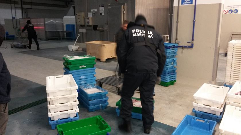 Apreendidas mais de 47 toneladas de pescado em Esposende