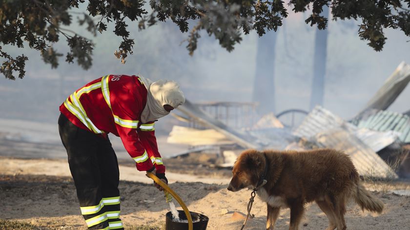 incêndio em Alijó, Foto: Pedro Costa/Lusa