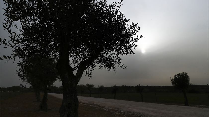 Atenção: Poeiras do Norte de África vão afetar qualidade do ar