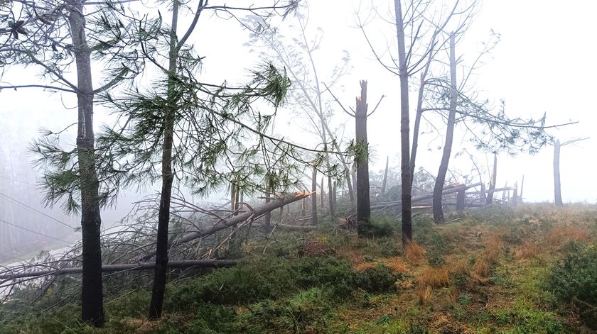 GGTP alerta para despedimentos em Leiria por causa do mau tempo