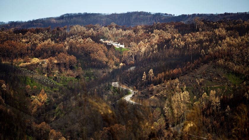 Os incêndios de 2017 destruíram muitos edifícios e linhas de comunicação, alguns ainda estão por restaurar. Foto: DR