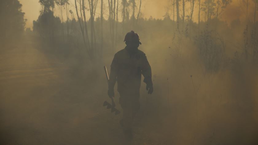 Detidos suspeitos de incêndios em Vilar Formoso e Santo Tirso
