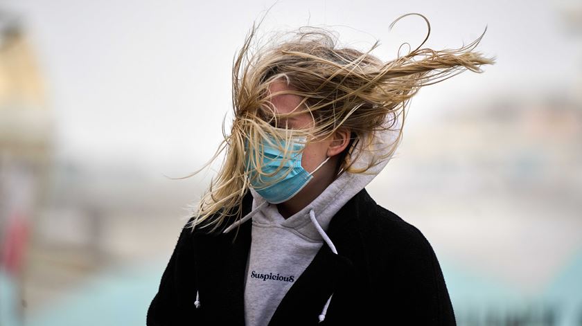 Portugal mantém concentrações de pólen muito elevadas