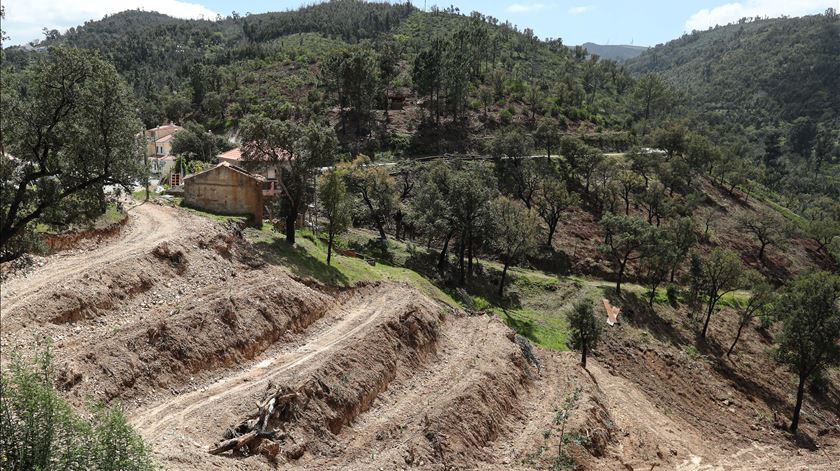 Monchique previne incêndios com intervenção em zonas de elevado perigo