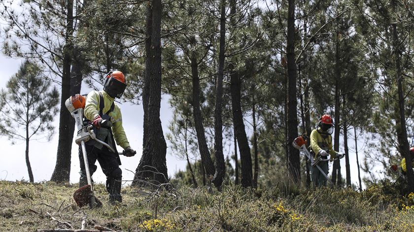 Government extends land cleaning until May 31