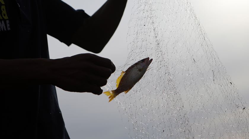 Dia Mundial dos Oceanos - peixe - pesca na Indonésia Foto: Hotli Simanjuntak/EPA