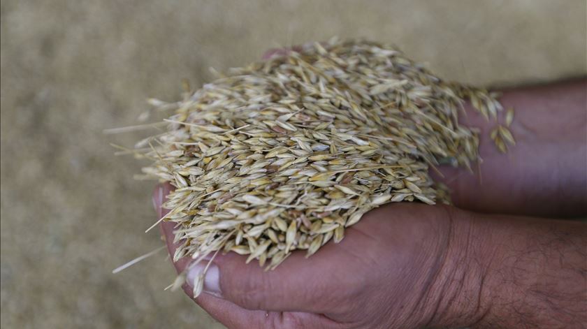 UE aplica mais sanções à Rússia e propõe ajustes para proteger exportações de cereais