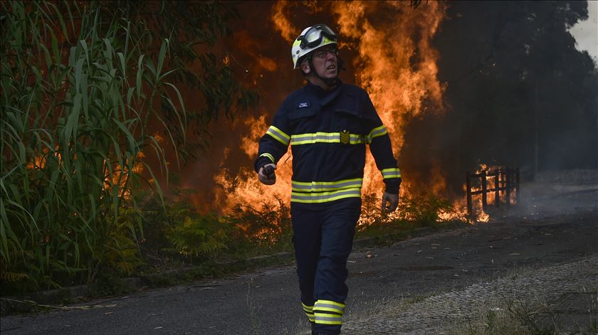 Detido suspeito de atear fogo em área florestal de Chaves