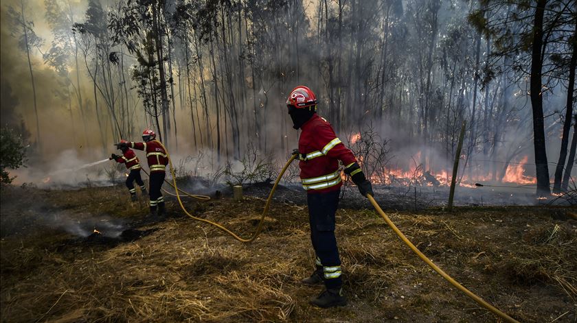 Já arderam quase 58 mil hectares este ano, mais do dobro que em 2021