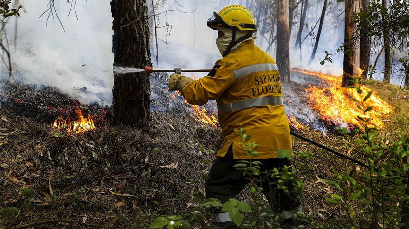 Incêndio de Ansião destruiu terrenos, anexos e casas devolutas