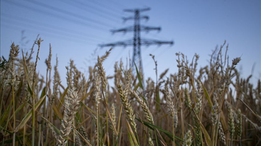 Ucrânia e Rússia chegam a acordo para exportação de cereais, anuncia Turquia