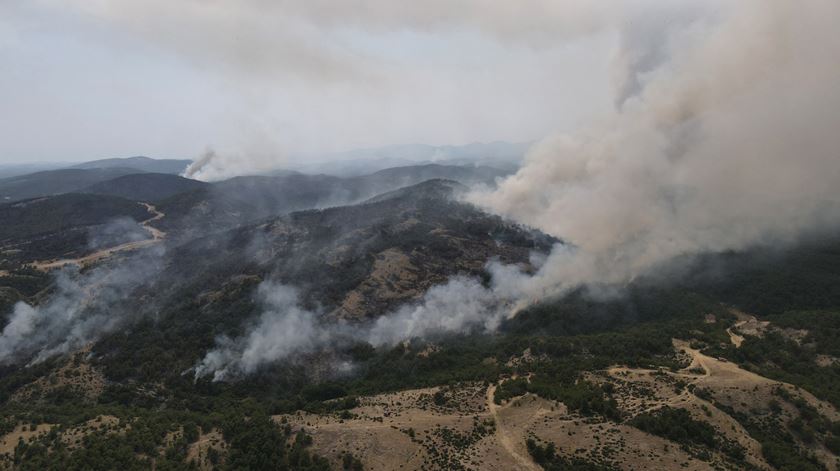 Incêndios em Evros, Grécia. Foto: Dimitris Alexoudis/EPA