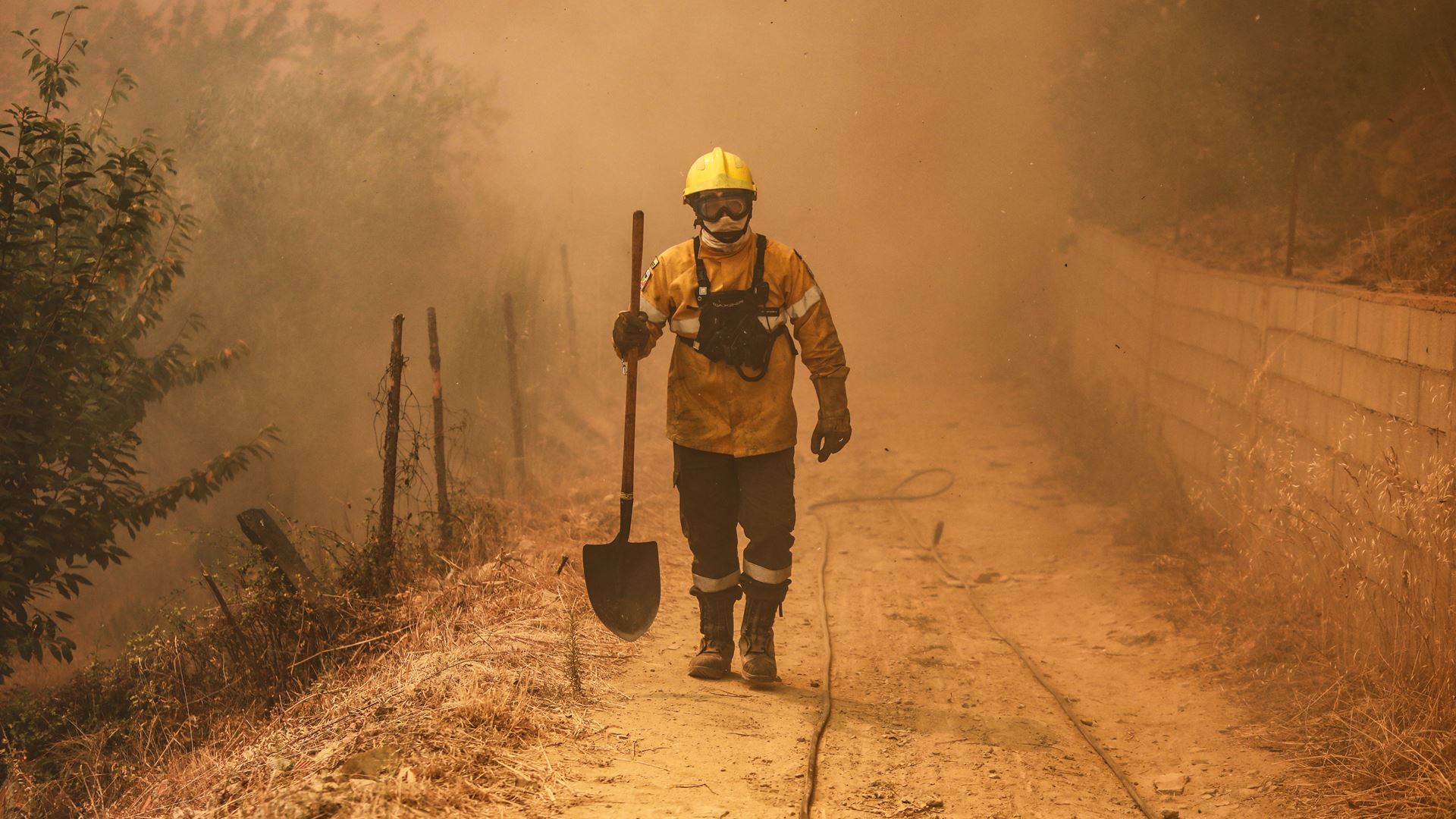 Incêndios. "Condições extremas" na Península Ibérica aumentam risco esta semana