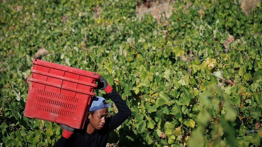 Portugal chega aos quase 11,5 milhões de residentes: 1,6 milhões são estrangeiros Portugal chega aos quase 11,5 milhões de residentes: 1,6 milhões são estrangeiros