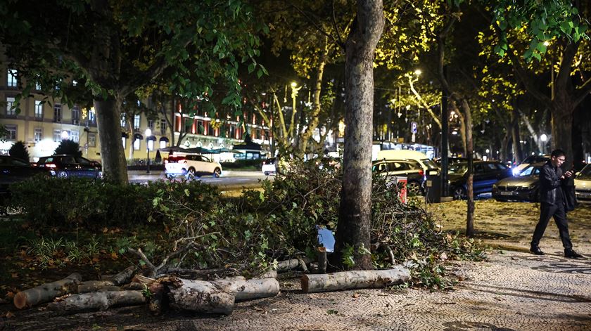 Queda de árvores na Avenida da Liberdade, em Lisboa. Foto: Rodrigo Antunes/Lusa