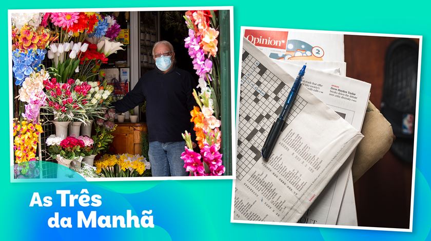 A psicologia das flores e das palavras cruzadas - As Três Da Manhã