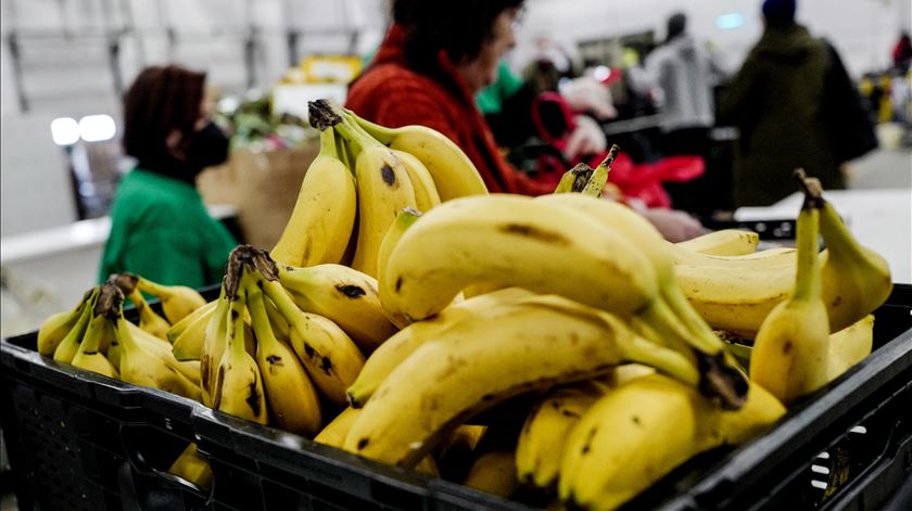 Nutricionistas vão apresentar ao Governo proposta para isentar alimentos essenciais do IVA