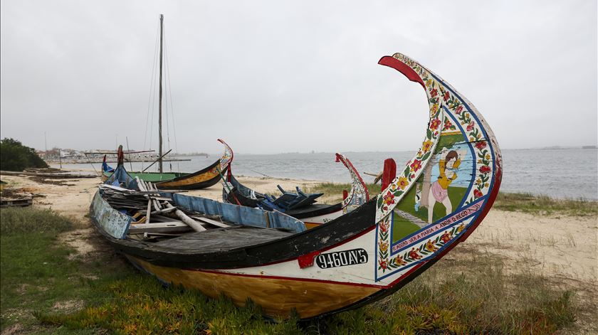Barco Moliceiro é o novo Património Cultural Imaterial da Humanidade português