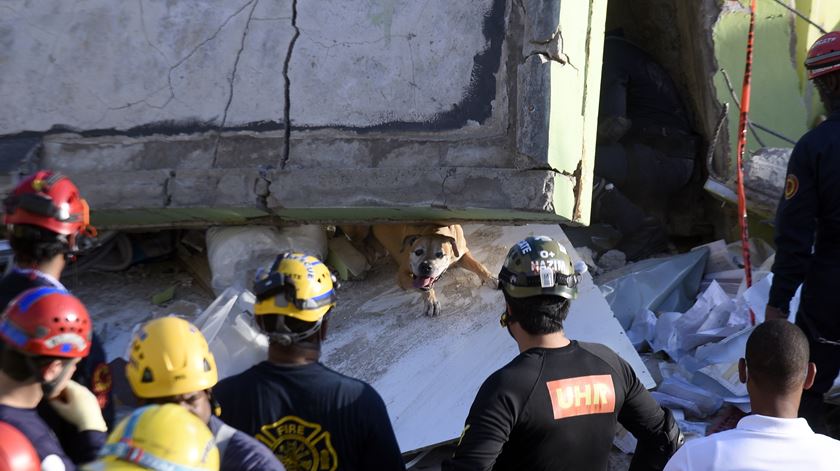 Foto: Luis Rosario/EPA